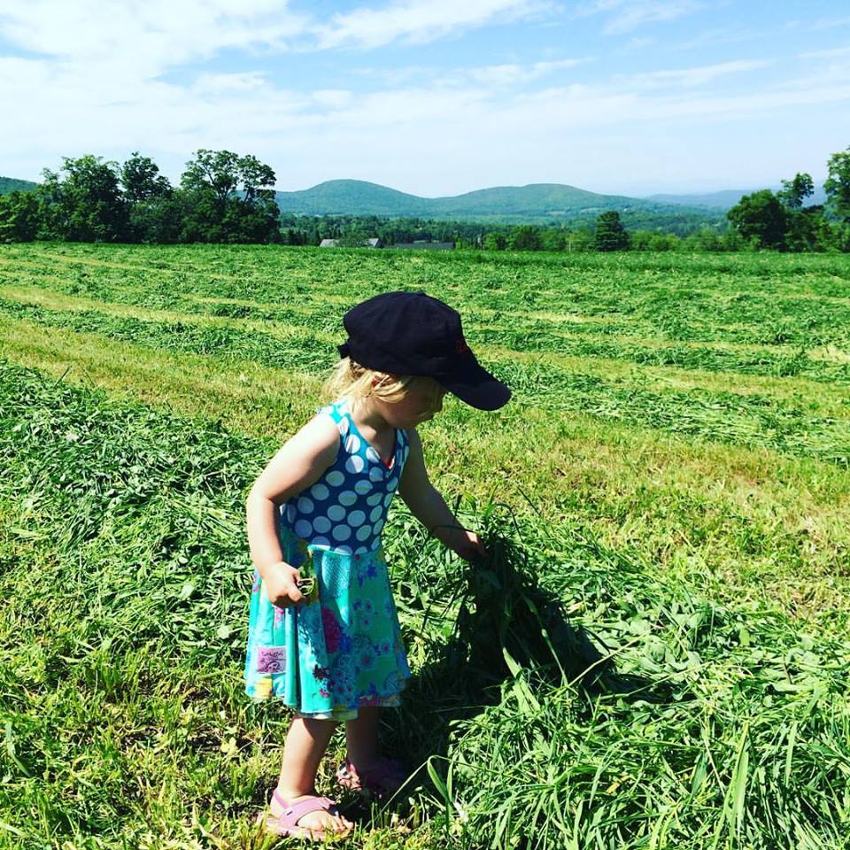 Molly Brook Farm