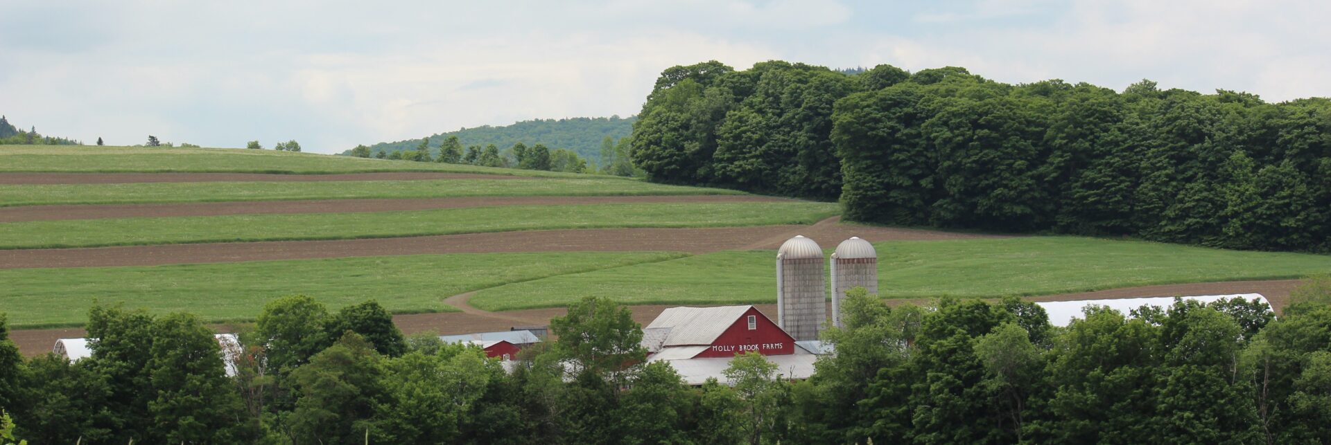 Molly Brook Farm